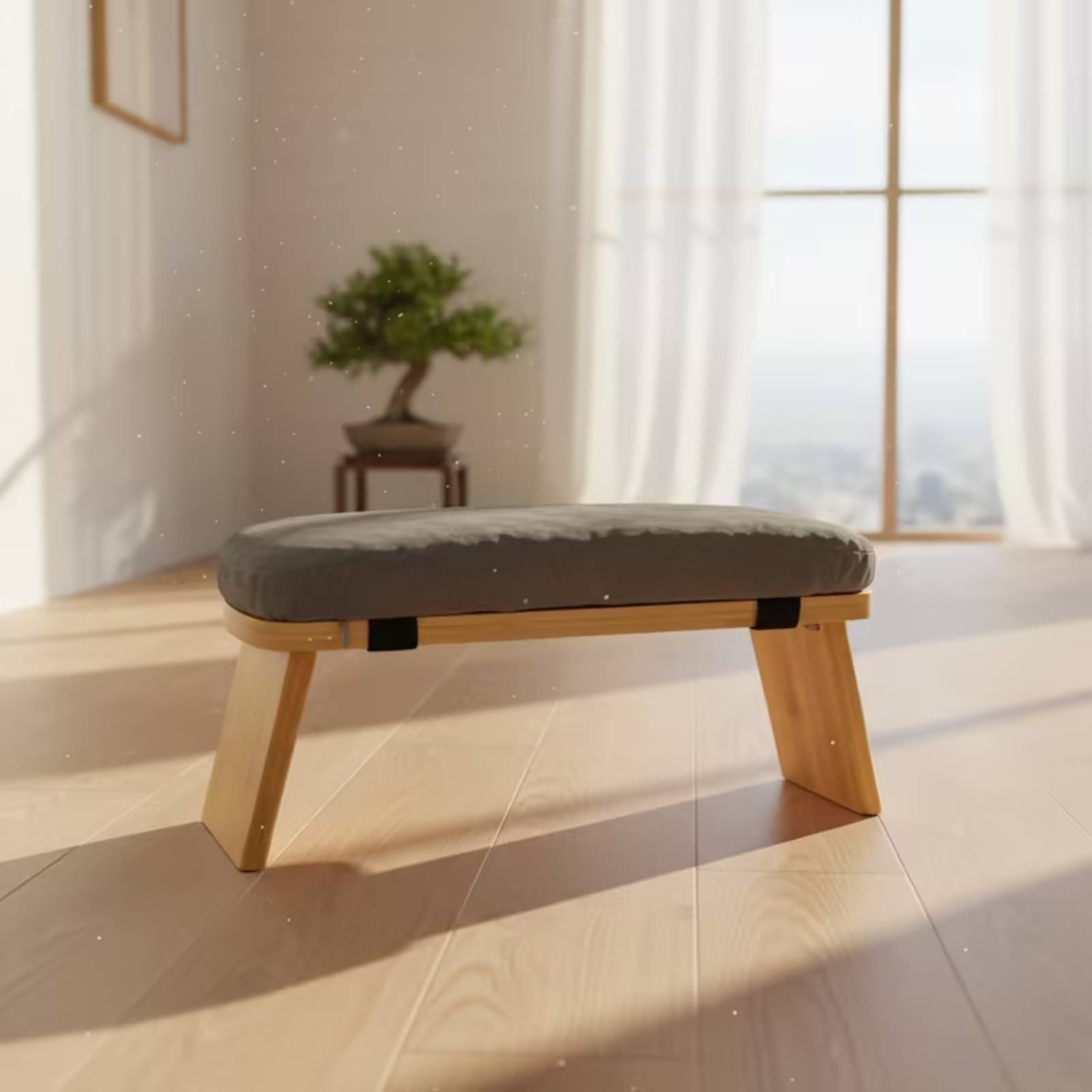 Kneeling Stool with Cushion Co - Office Chair Cushion review and price